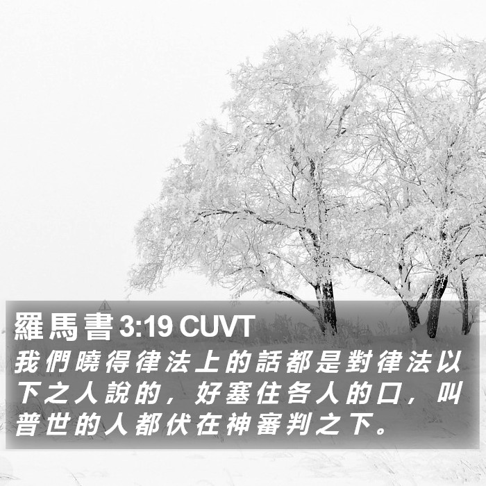 羅 馬 書 3:19 CUVT Bible Study