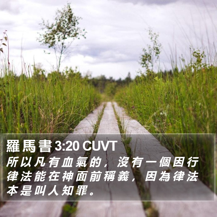 羅 馬 書 3:20 CUVT Bible Study