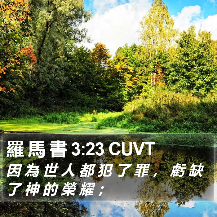 羅 馬 書 3:23 CUVT Bible Study