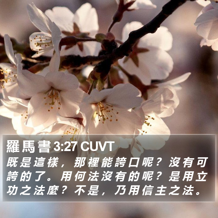 羅 馬 書 3:27 CUVT Bible Study