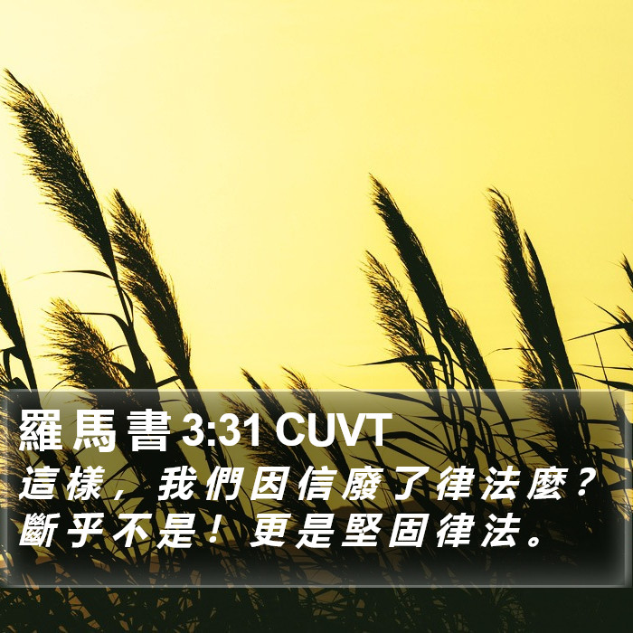 羅 馬 書 3:31 CUVT Bible Study