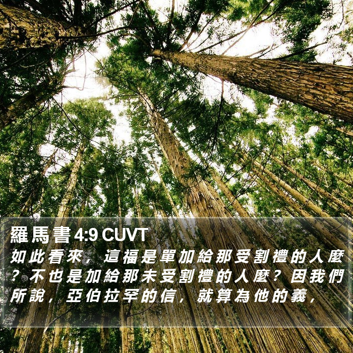 羅 馬 書 4:9 CUVT Bible Study