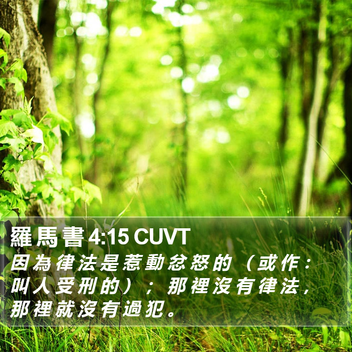 羅 馬 書 4:15 CUVT Bible Study