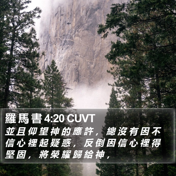 羅 馬 書 4:20 CUVT Bible Study