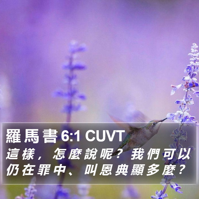 羅 馬 書 6:1 CUVT Bible Study