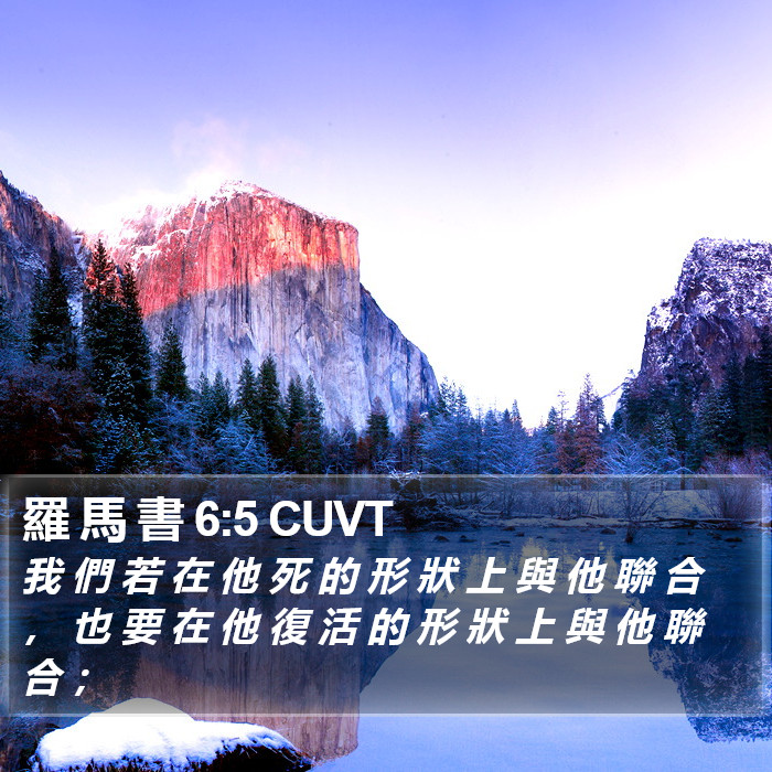 羅 馬 書 6:5 CUVT Bible Study