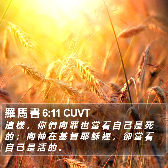 羅 馬 書 6:11 CUVT Bible Study