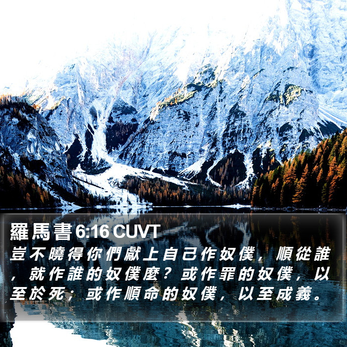 羅 馬 書 6:16 CUVT Bible Study