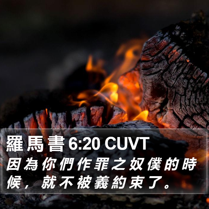 羅 馬 書 6:20 CUVT Bible Study