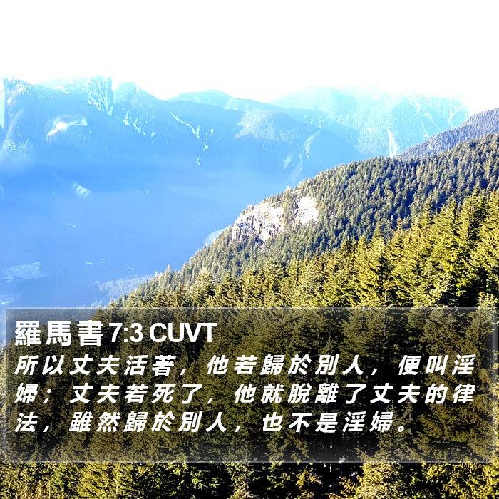 羅 馬 書 7:3 CUVT Bible Study