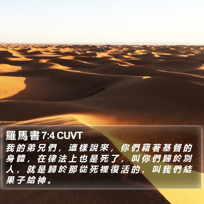 羅 馬 書 7:4 CUVT Bible Study