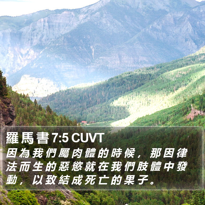 羅 馬 書 7:5 CUVT Bible Study