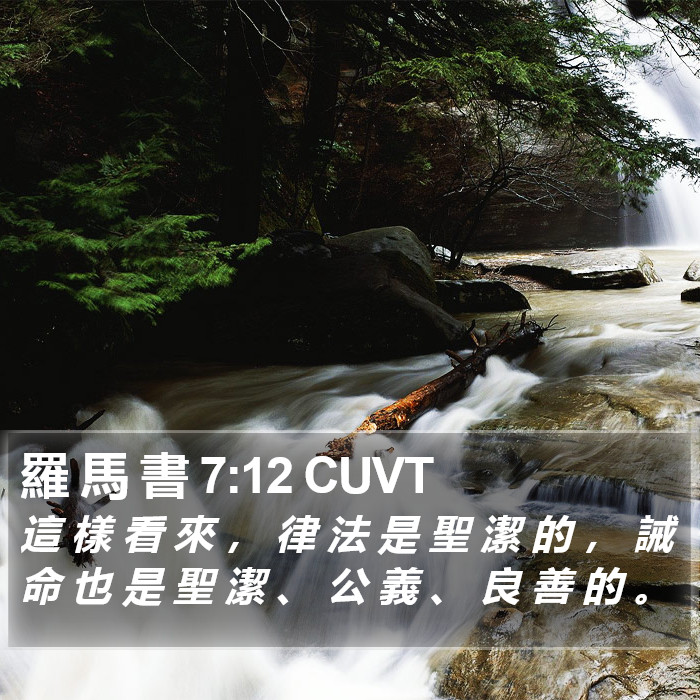 羅 馬 書 7:12 CUVT Bible Study