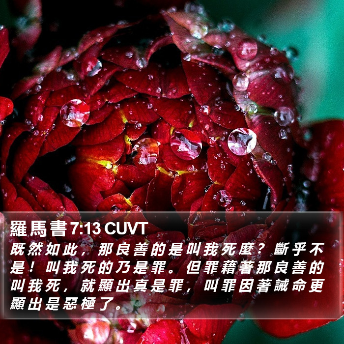 羅 馬 書 7:13 CUVT Bible Study