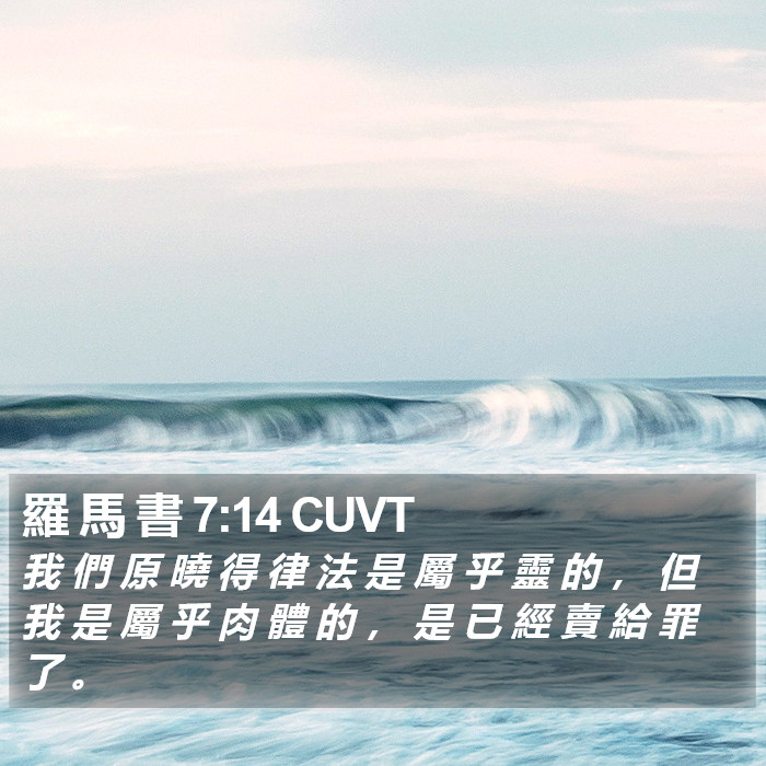 羅 馬 書 7:14 CUVT Bible Study