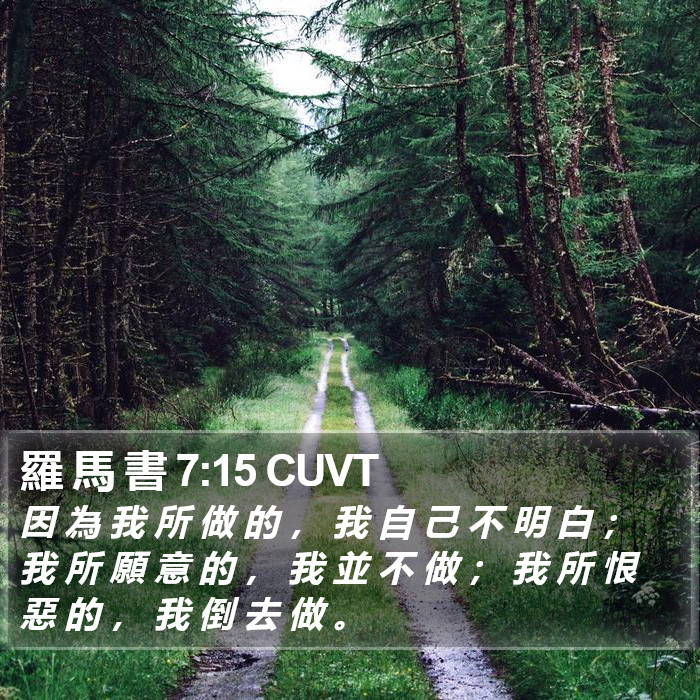 羅 馬 書 7:15 CUVT Bible Study