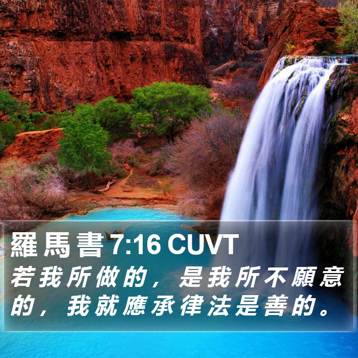 羅 馬 書 7:16 CUVT Bible Study