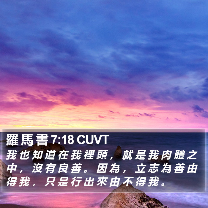 羅 馬 書 7:18 CUVT Bible Study