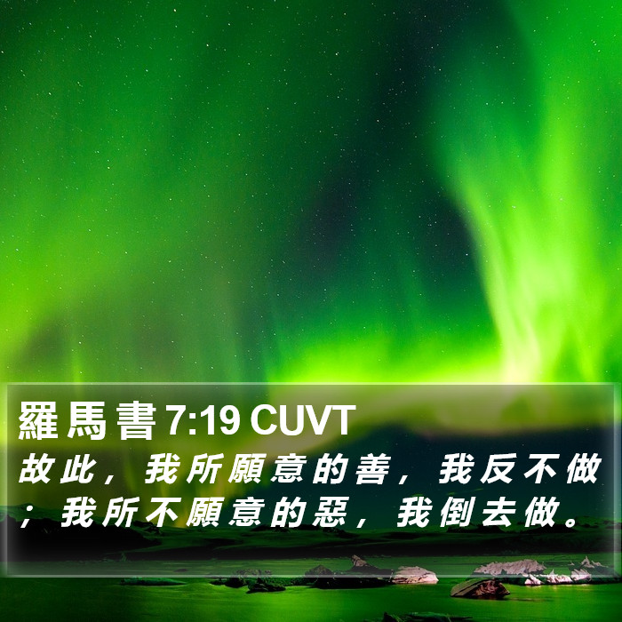 羅 馬 書 7:19 CUVT Bible Study