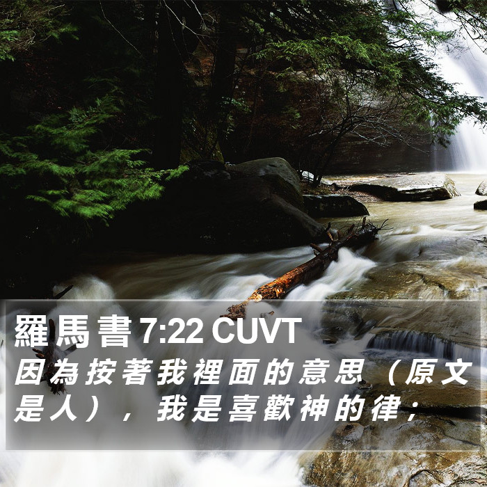 羅 馬 書 7:22 CUVT Bible Study