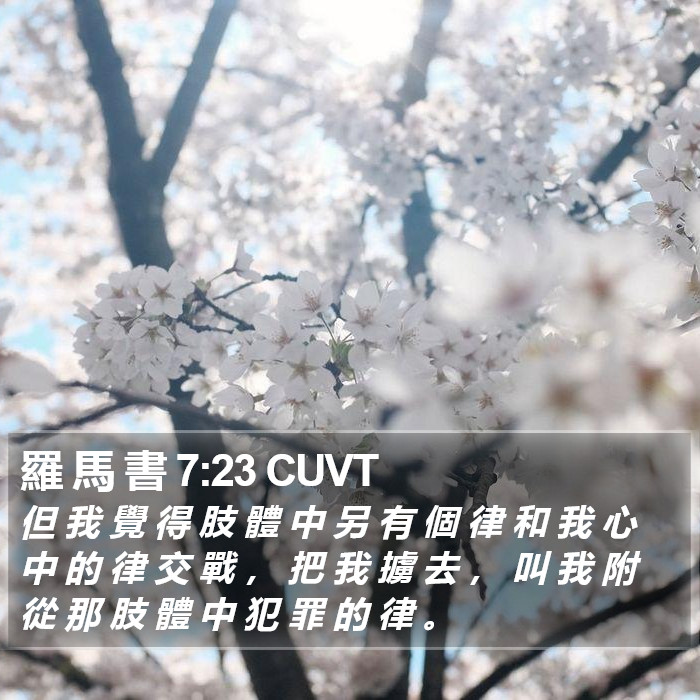 羅 馬 書 7:23 CUVT Bible Study