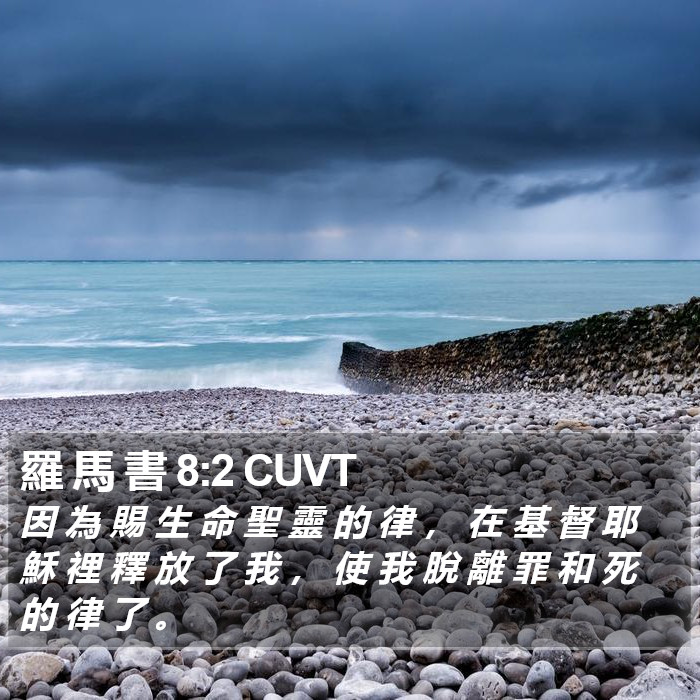 羅 馬 書 8:2 CUVT Bible Study