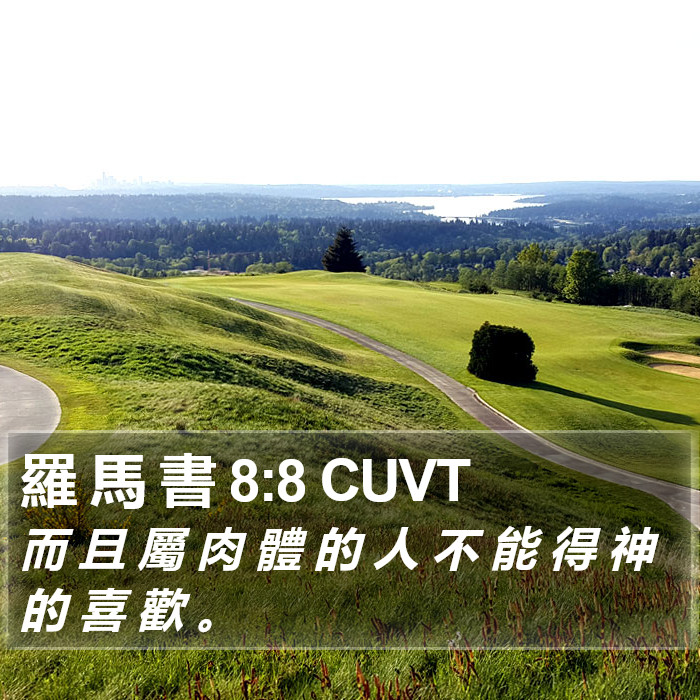 羅 馬 書 8:8 CUVT Bible Study