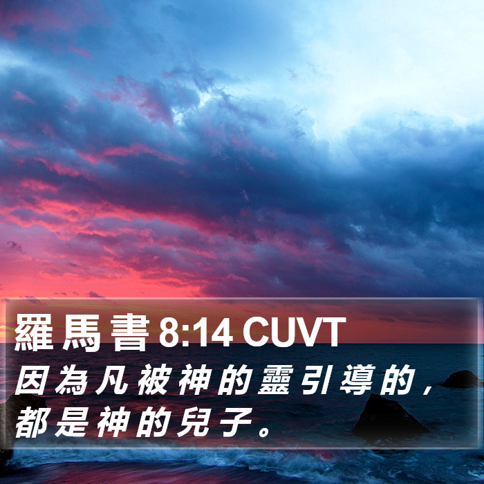 羅 馬 書 8:14 CUVT Bible Study