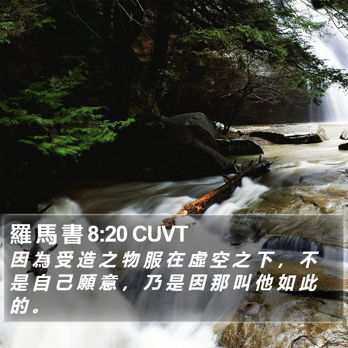 羅 馬 書 8:20 CUVT Bible Study