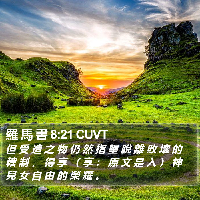 羅 馬 書 8:21 CUVT Bible Study