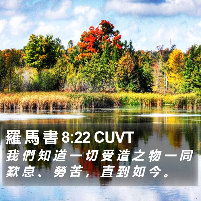 羅 馬 書 8:22 CUVT Bible Study