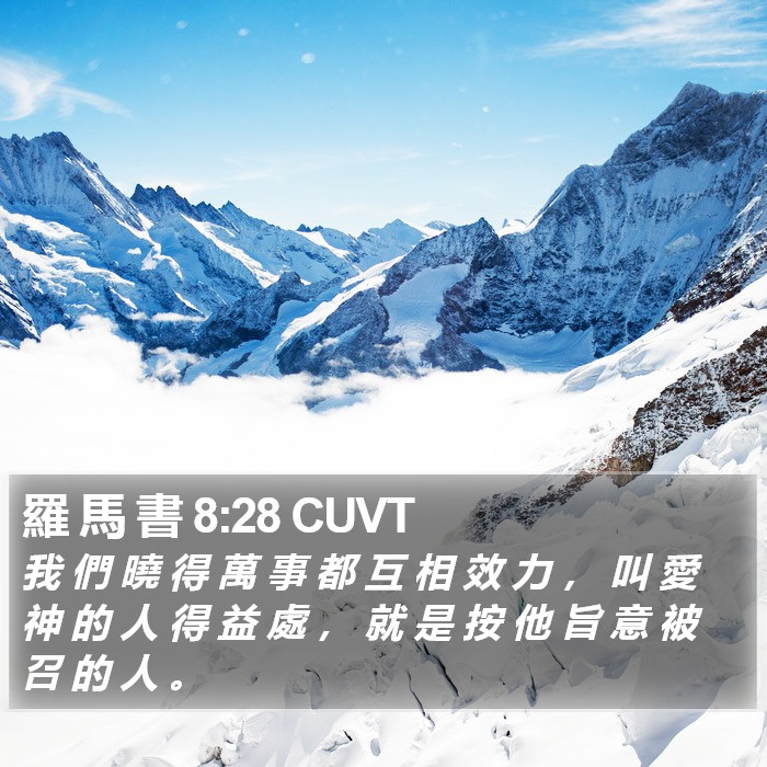 羅 馬 書 8:28 CUVT Bible Study