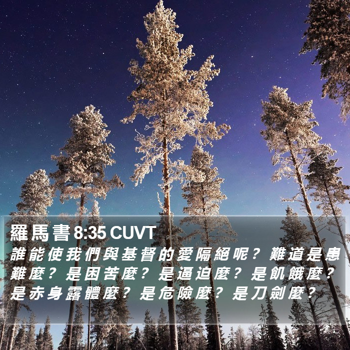 羅 馬 書 8:35 CUVT Bible Study