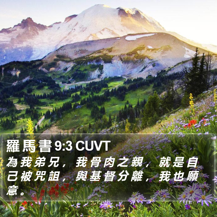 羅 馬 書 9:3 CUVT Bible Study