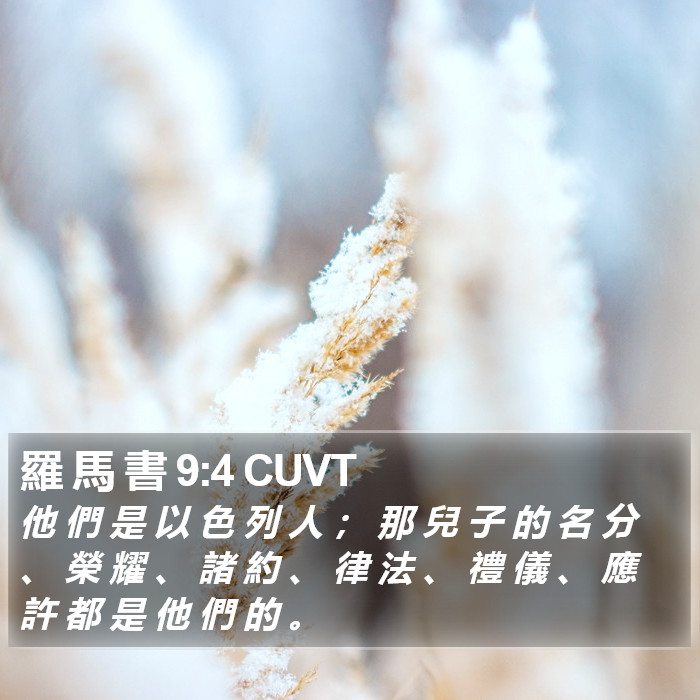 羅 馬 書 9:4 CUVT Bible Study