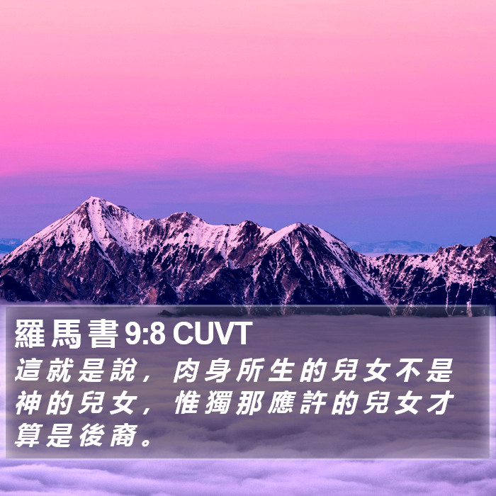 羅 馬 書 9:8 CUVT Bible Study