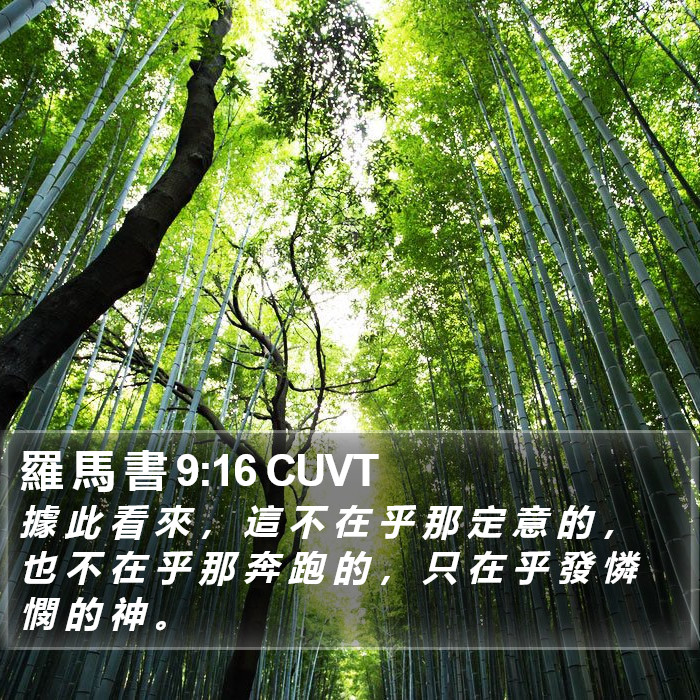 羅 馬 書 9:16 CUVT Bible Study