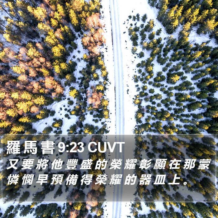 羅 馬 書 9:23 CUVT Bible Study