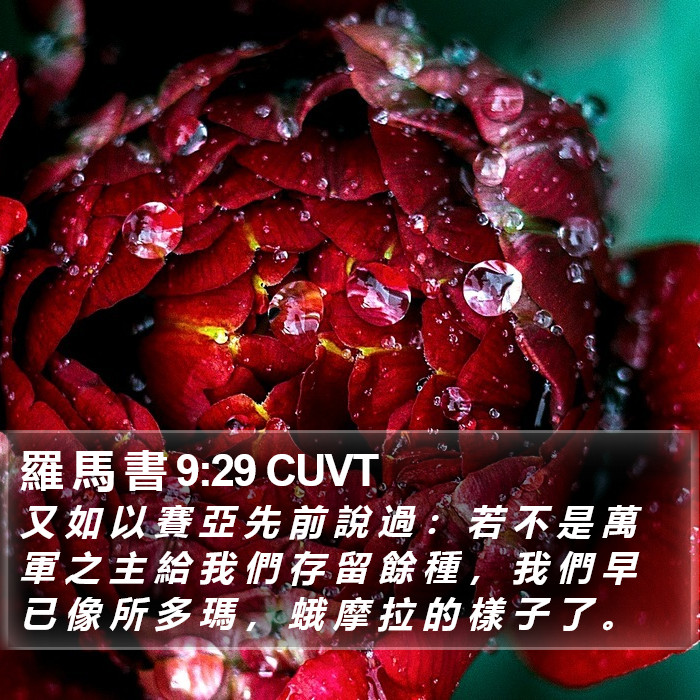 羅 馬 書 9:29 CUVT Bible Study