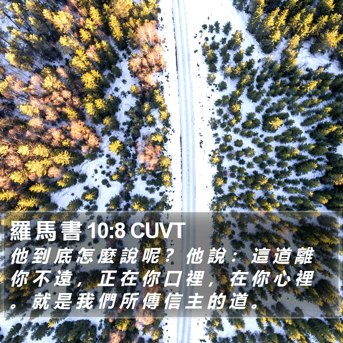 羅 馬 書 10:8 CUVT Bible Study