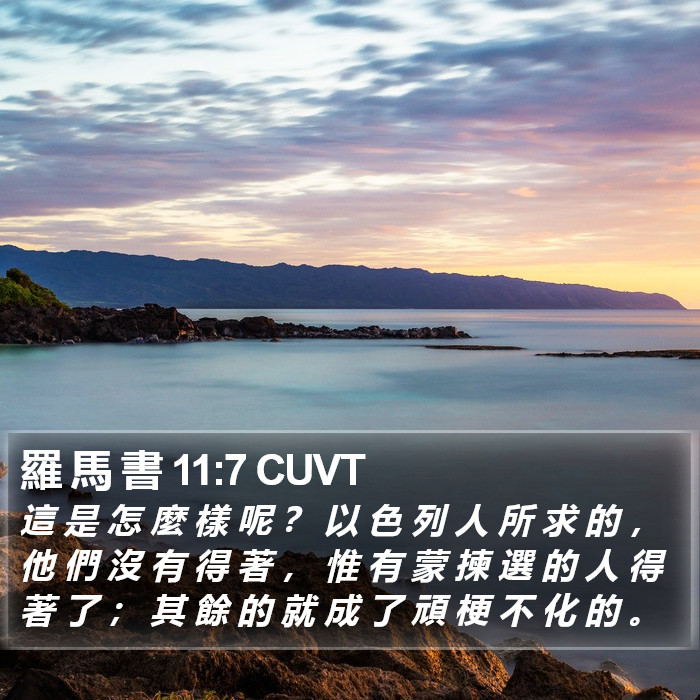 羅 馬 書 11:7 CUVT Bible Study
