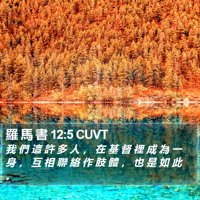 羅 馬 書 12:5 CUVT Bible Study
