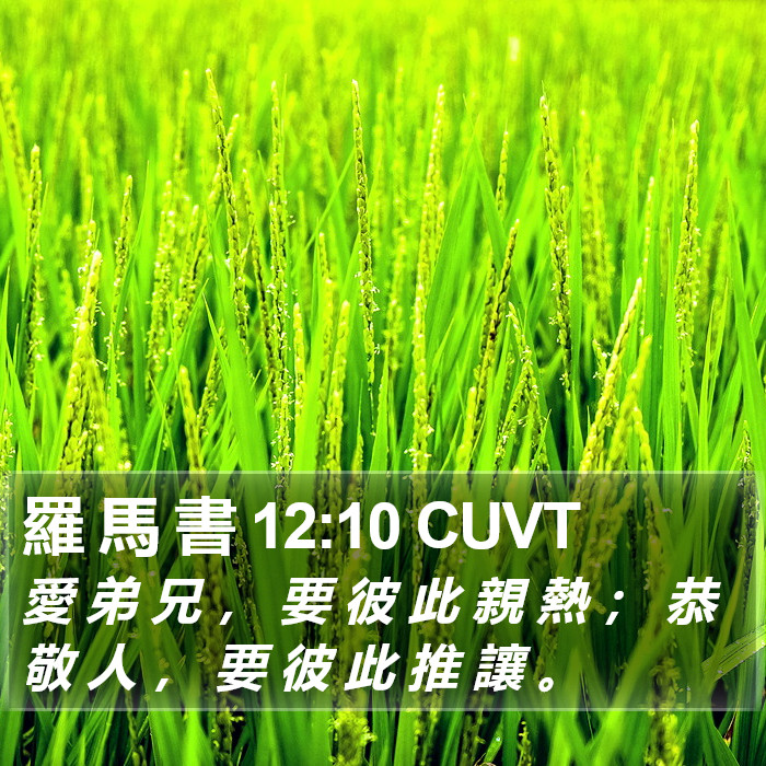 羅 馬 書 12:10 CUVT Bible Study