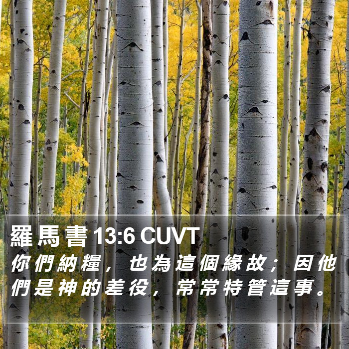 羅 馬 書 13:6 CUVT Bible Study