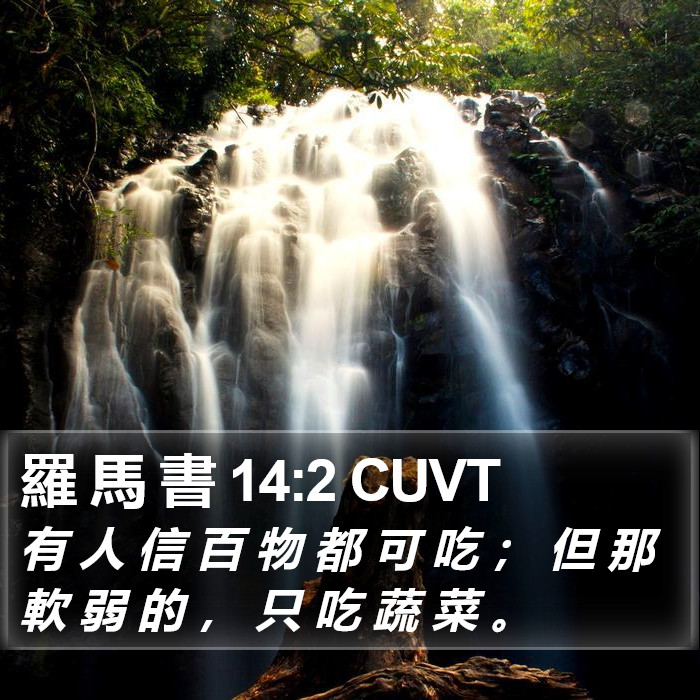 羅 馬 書 14:2 CUVT Bible Study