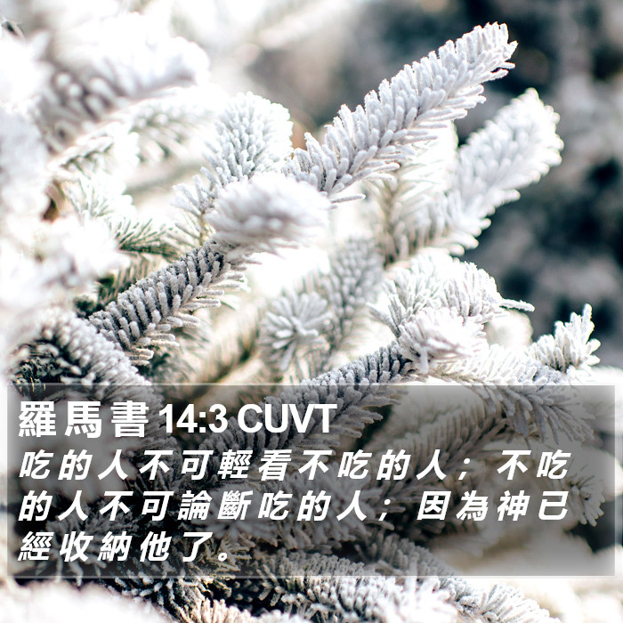 羅 馬 書 14:3 CUVT Bible Study