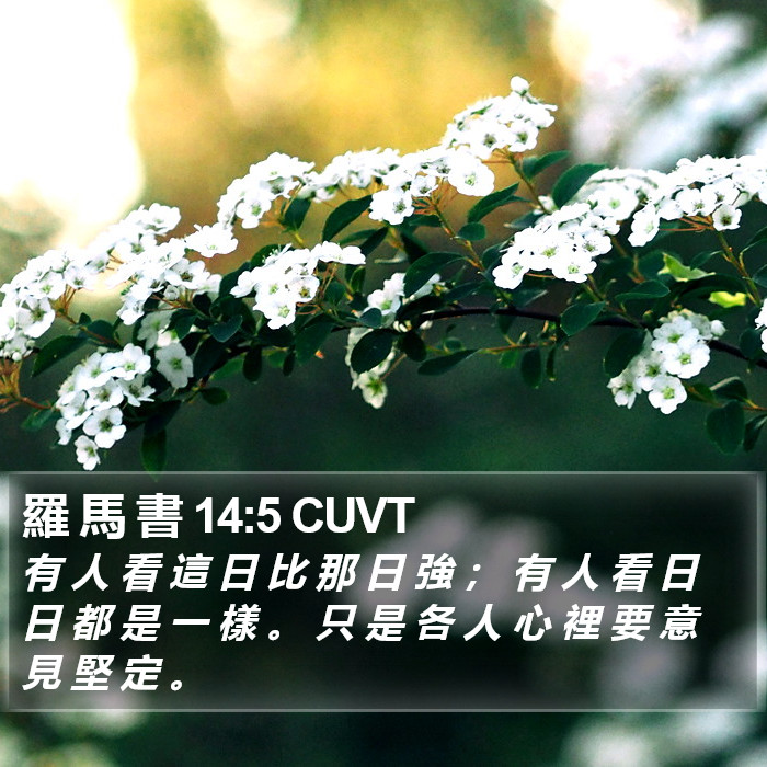 羅 馬 書 14:5 CUVT Bible Study