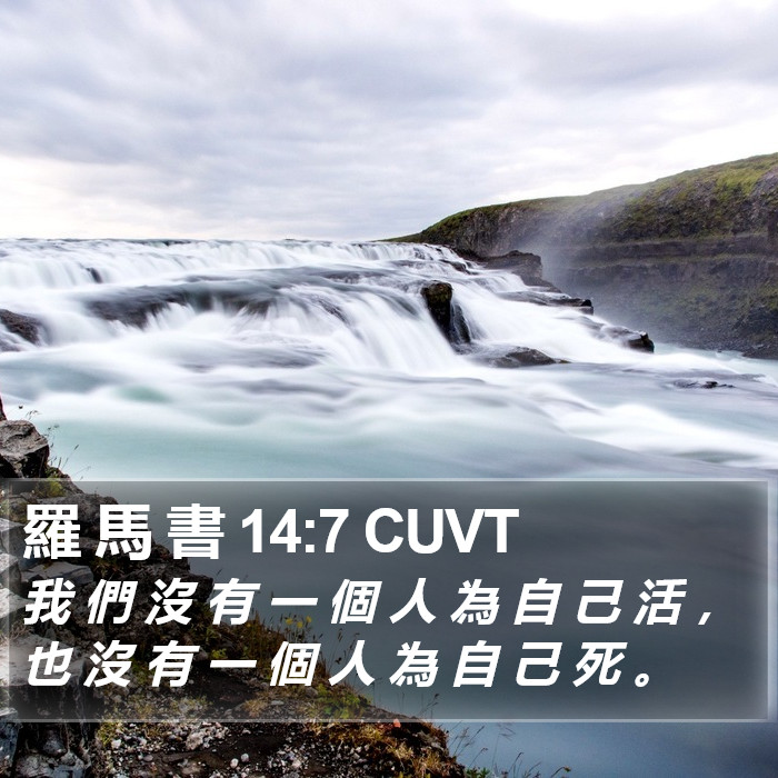 羅 馬 書 14:7 CUVT Bible Study