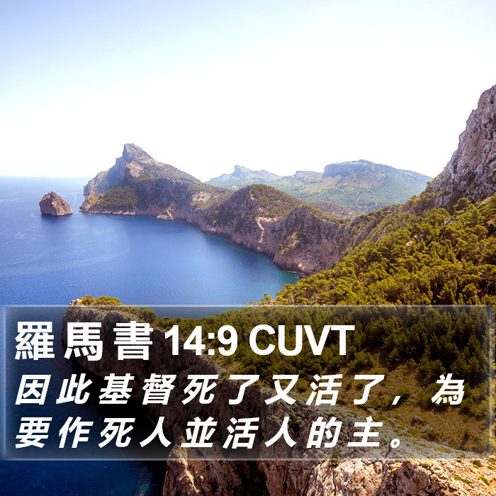 羅 馬 書 14:9 CUVT Bible Study