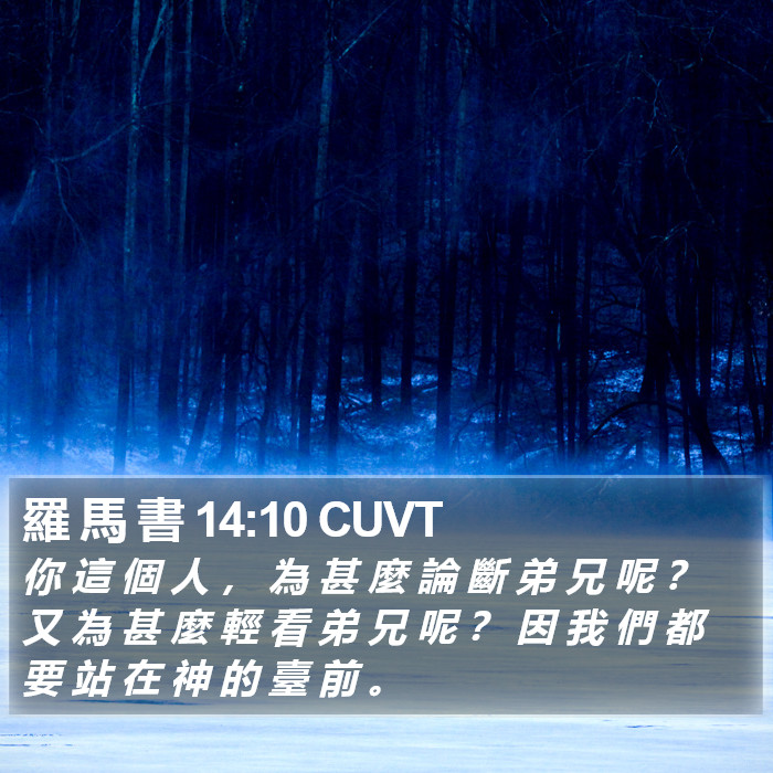 羅 馬 書 14:10 CUVT Bible Study